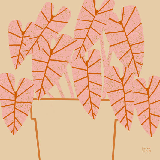 Pink Houseplant Print